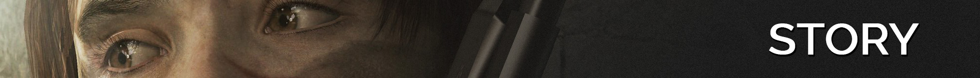 Banner_0000_STORY