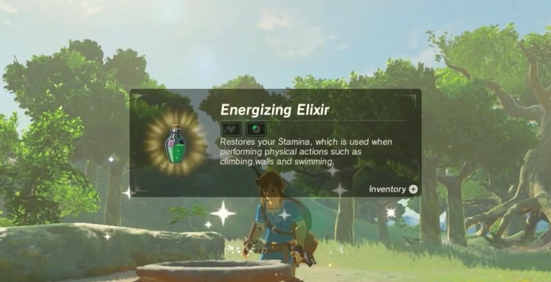 Energising-Elixir