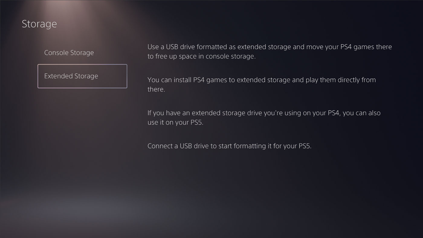 ps5 extended storage