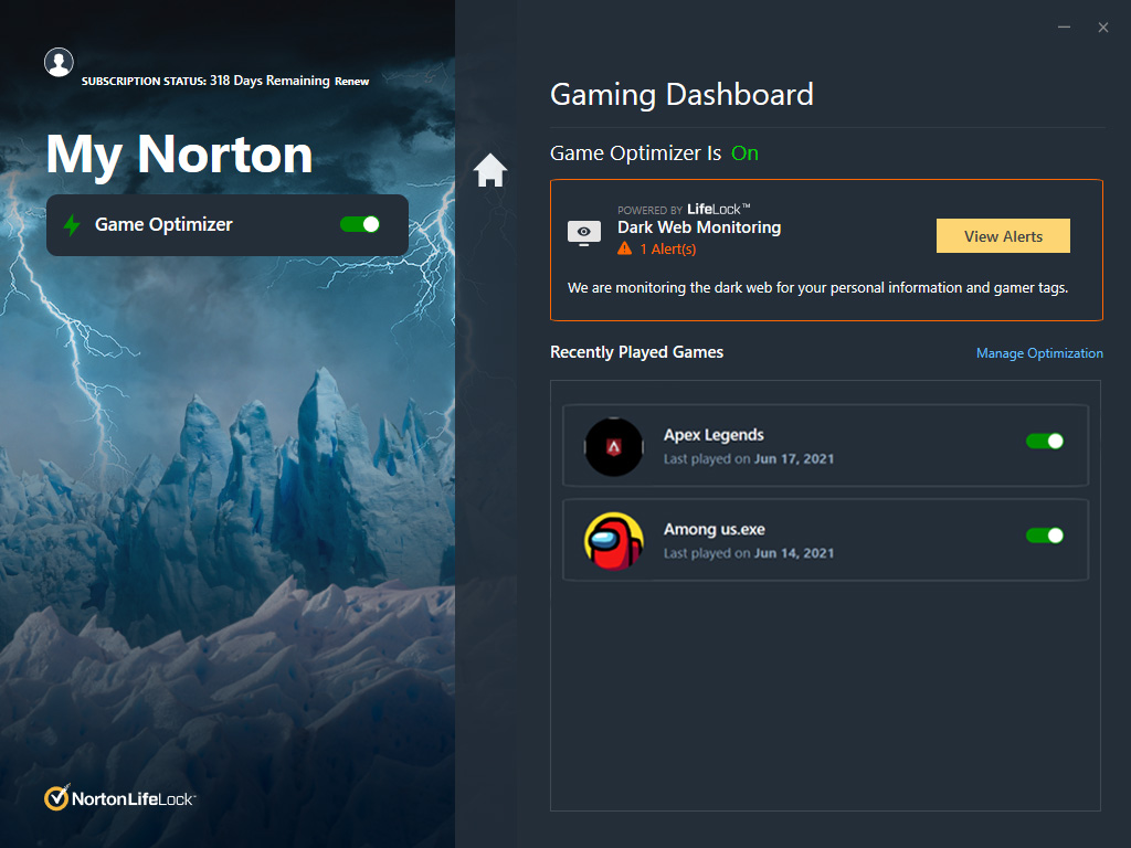 Norton Game OPtimiser